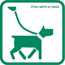 Chien admis laisse [Converti]